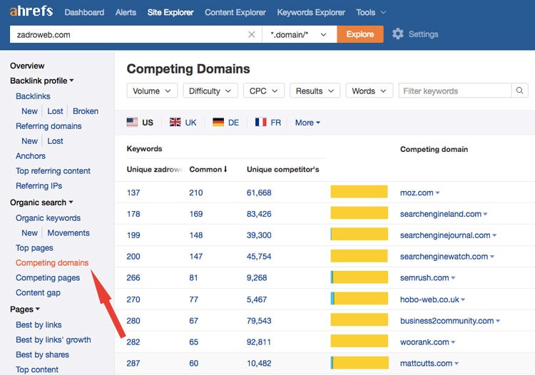 Ahrefs Competing Domains Example